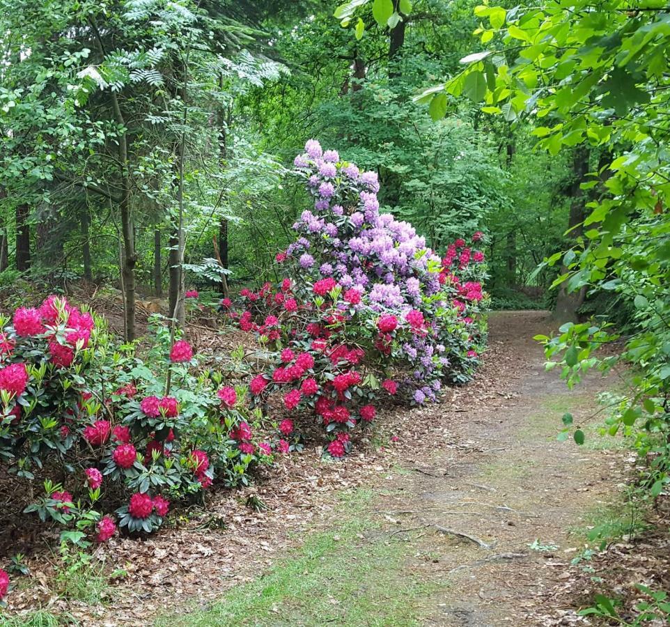 Veluwe Nature Home - 2 Persons อ็อตเตอร์โล ภายนอก รูปภาพ